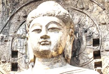 龙门石窟【1.5~2小时讲解+耳麦I拼团I可选含门票I包团】【[品质讲解]千年石刻艺术瑰宝，资深导游专业文史知识，让你在沉浸式讲解中，解锁人文之旅的深度魅力。】