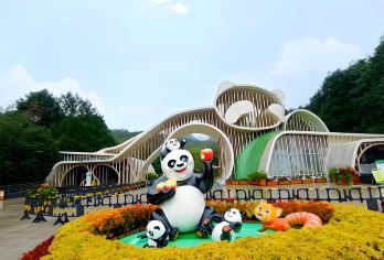 四川成都熊猫基地+三星堆包车一日游【1..中文司机，上门接送】