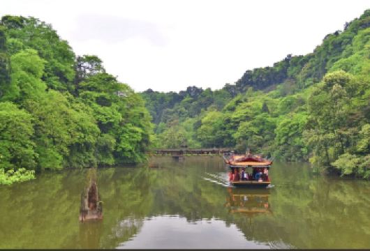 成都出发：都江堰+青城山包车一日游（世界水利与道教名山）【一日打卡两大世界遗产·高效串联都江堰水利工程与青城山两大景区·一日尽览自然与人文双重精髓】