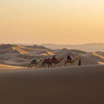 阳山大佛+炭窑口岩画+高阙塞+大碱湖+阴山大漠1日游