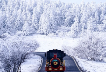 重庆武隆天生三桥一日游【2-8人小团】仙女山+天生三桥纯玩团【2-8 人精品小团：拒绝拥挤大团，人均享有充足空间与优质服务，成团灵活不等待，亲友同行更自在。】