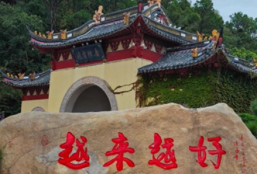 舟山普陀山风景区一日游 全程土著导游解说 【 宁波出发】【[佛国普陀]精心策划行程，全程当地土著，土著导游陪同讲解，许愿，还愿必到景点】