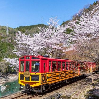 京都保津川游船，嵯峨野浪漫列车岚山之旅半日遊