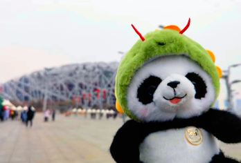 北京鸟巢(国家体育场)1H【◆资深讲解◆深度探访奥运场馆】【[精选商家]携程客户优选商品，品质纯玩儿，深度探秘大北京】