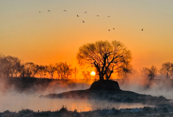 千岛湖+哈素海一日游【8人小团｜看日出｜赏雾松｜ 滑冰 】【这人间烟花 我们只来一次 不如真诚一点 过的放肆 永远热烈而自由】
