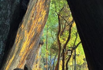 浙江丽水—缙云一日游：仙都+河阳古民居  景点可定制G【全程中文/英文/俄语/小语种服务，沟通无障碍，景点可调,多种车型可选】