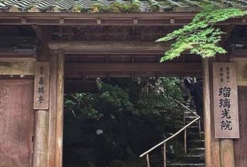 日本京都.琉璃光院-三千院-贵船神社-岚山-红叶巡礼/红叶季【专业行程定制，精选热门景点，高效游玩不走回头路，贴心服务保障，轻松】