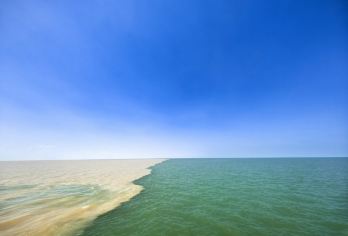 黄河口生态旅游区一日【自驾丨纯玩无购物含讲解预约船票】【[纯玩服务引领者]品质真纯玩无购物店】