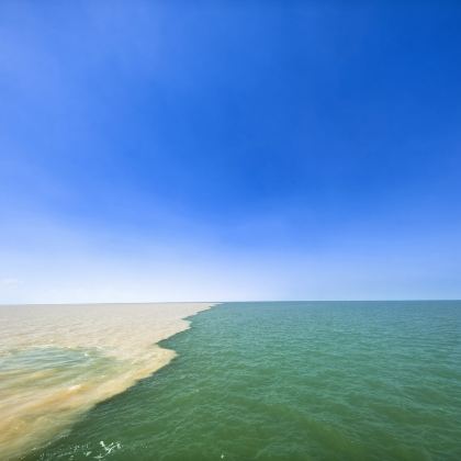 黄河口生态旅游区一日【自驾丨纯玩无购物含讲解预约船票】