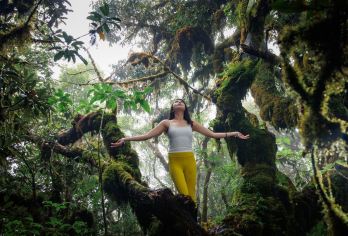 【高黎贡山毛毛球森林徒步】野温泉+游艇屿上荒野厨房 一价全含【1人起发团；行程结束；每人免费赠送广式糖水一份。不指定座位，一价全含，无任何隐形消费！】