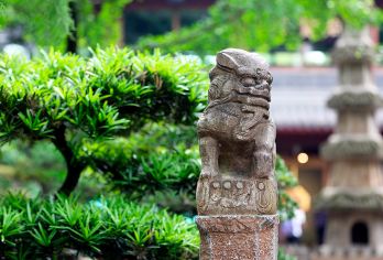 武侯祠博物馆半日游【专业讲解 | 多语种 | 私享包团 】【[星级讲解]专业持证讲解员，为您提供2小时深度讲解服务】