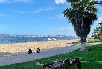 厦门曾厝垵+海上小火车+集美学村一日游【接送+午餐+讲解】【[服务保障]本地旅行社，自有车队，天天发团，全程贴心服务，纯玩无强制消费！】