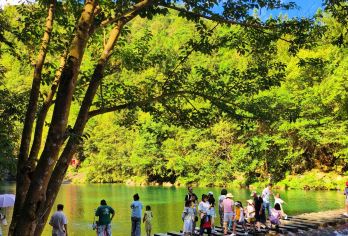 安徽池州牯牛降森林+蓬莱仙洞探秘包车一日游可英文服务【牯牛降中觅华东绿野，蓬莱洞内探地下仙宫，山水洞天共谱自然奇韵。】