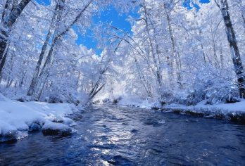 长白山雾凇漂流＋激情滑雪＋雪地摩托经典一日游《星级服务》【雾凇漂流：漂的不是河，是冬日限定的仙境！】