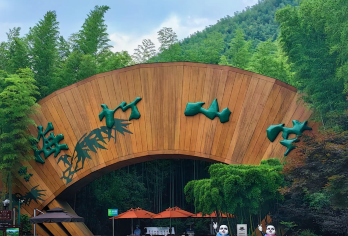 南山竹海门票+单火+双地轨+车接车送+导游讲解【10人小团】【私家小团无人打扰】