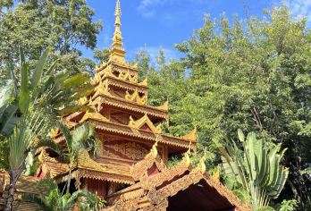 市区轻徒步：一日览尽佛寺御花园+雨林孔雀放飞【专业市区专车服务：熟悉路况的本地司机，高效衔接各景点，提供灵活舒适的专属出行体验】