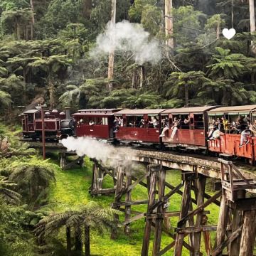 【春节有位】墨尔本普芬比利蒸汽火车+小企鹅菲利普岛一日游