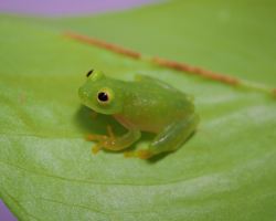 Sunshine Aquarium's unfortunate creatures exhibition returns with 7 zones