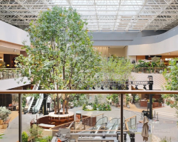 Futuristic! Beijing's first water show + indoor forest mall opens