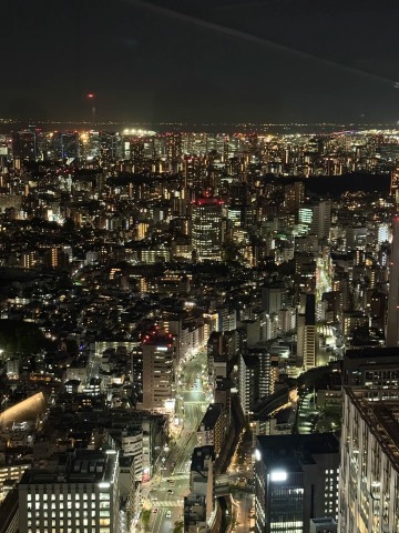 Tokyo travel guide: neon nights and nature escapes