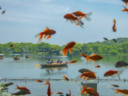 Viral goldfish bowl shots at West Lake's Leifeng Pagoda