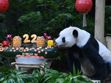 深圳野生動物園秋浜22歲生日會歡樂開啟