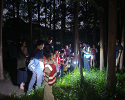 世紀夜貓子行動！夏夜探索螢火蟲
