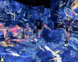 teamLab Planets Tokyo - Enter a Changing Art World