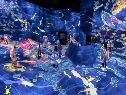 teamLab Planets Tokyo - Enter a Changing Art World