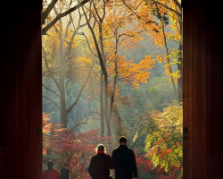 At temples, fall is for smelling, not seeing