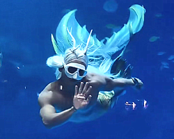 Upgraded Chongqing Sunac Sea World launches summer-only shows