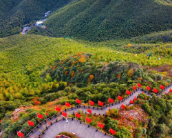 著紅衫限定！天目湖南山竹海免門票入園