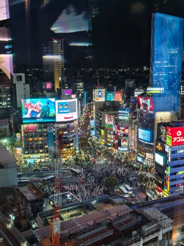 Tokyo travel guide: neon nights and nature escapes