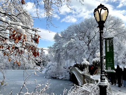 雪後的紐約中央公園彷彿童話世界