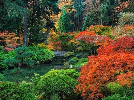 Discover the serene oasis of the Portland Japanese Garden