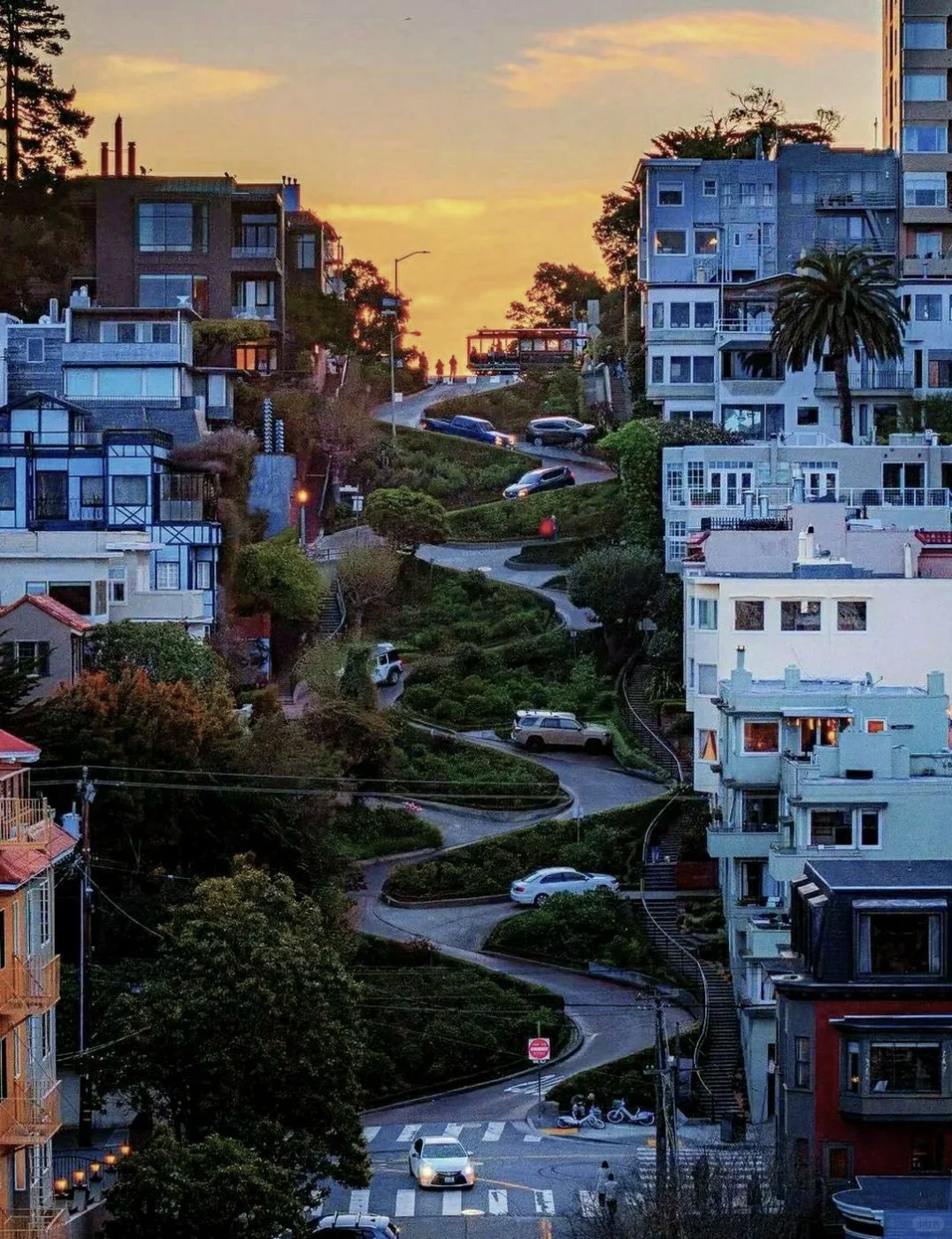 Beautiful sea of flowers at San Francisco's Lombard Street in all seasons