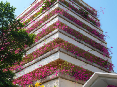 Guangzhou's spring is a slice of tiramisu