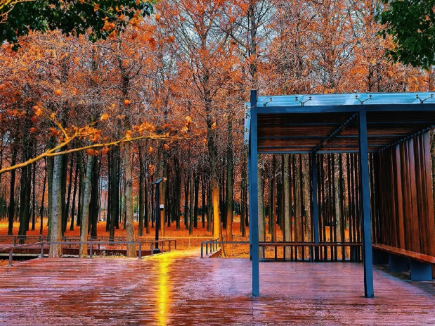 浦東5座新公園正式對外開放