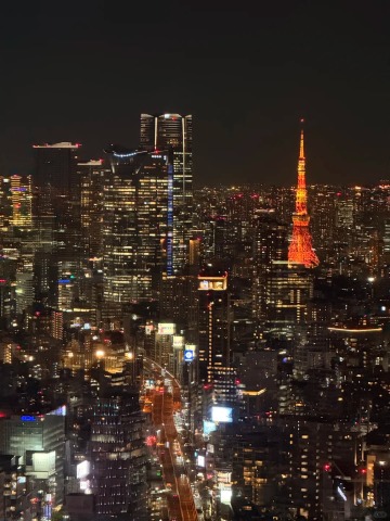 Tokyo travel guide: neon nights and nature escapes