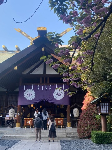 Tokyo travel guide: neon nights and nature escapes