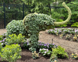 Unlock year-round beauty at Franklin Park Conservatory and Botanical Gardens