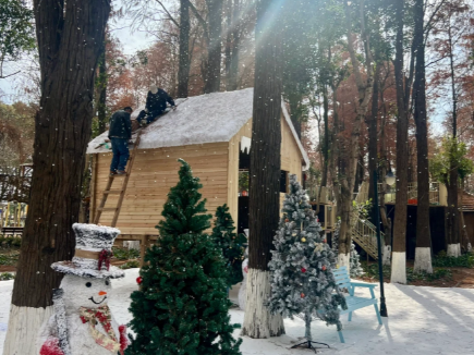 A Fairytale Snowscape and Family Park: Discover a Secret Winter Swan Wonderland