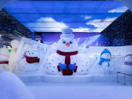 探索冰雪奇境：黑龍江的冬日童話