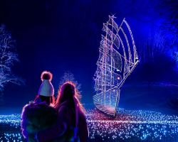 London's Christmas lights at the Royal Botanic Gardens, Kew