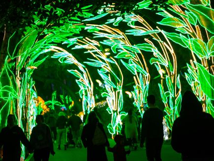 Omaha Zoolightful: Cozy Igloos & Festive Nighttime Magic