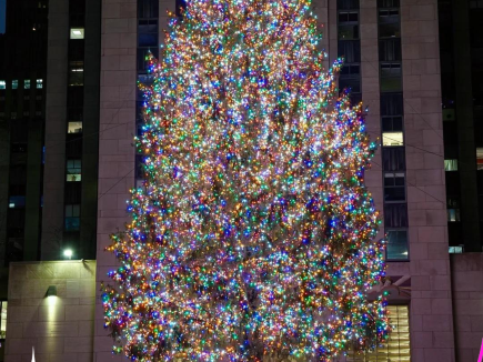 록펠러 센터, 2025년 크리스마스트리 공개