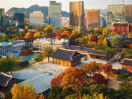 서울 고궁 야간 개장: 경복궁, 창경궁, 덕수궁