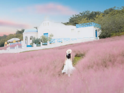 漫花莊園秋季花節開園