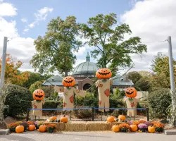 Detroit Zoo, MI, Boo 2026: Day-to-Dusk Spooktacular Fun