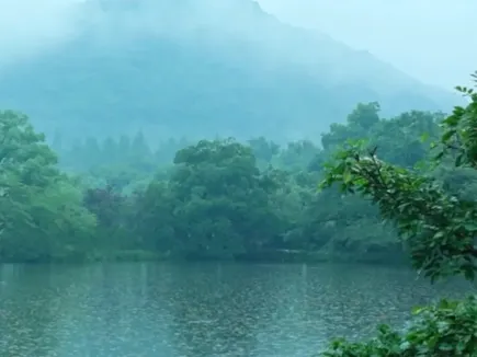 西湖梅雨季限定！平流霧化身絕美水墨畫卷